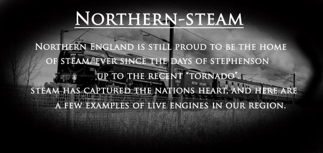 Northern_steamopeningblurb1.jpg