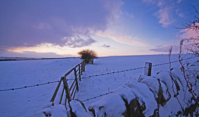 Whittonstall-snow-web.jpg