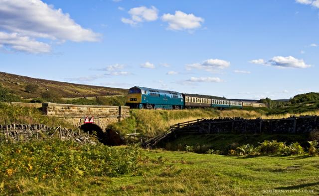 diesel-gala-western-bridge-.jpg