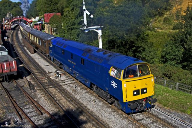 diesel-gala-western-web.jpg